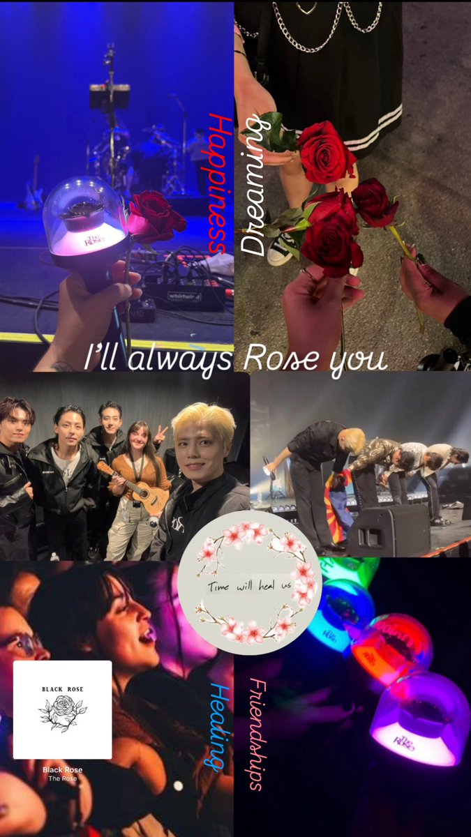 🌹⁷ tweet media