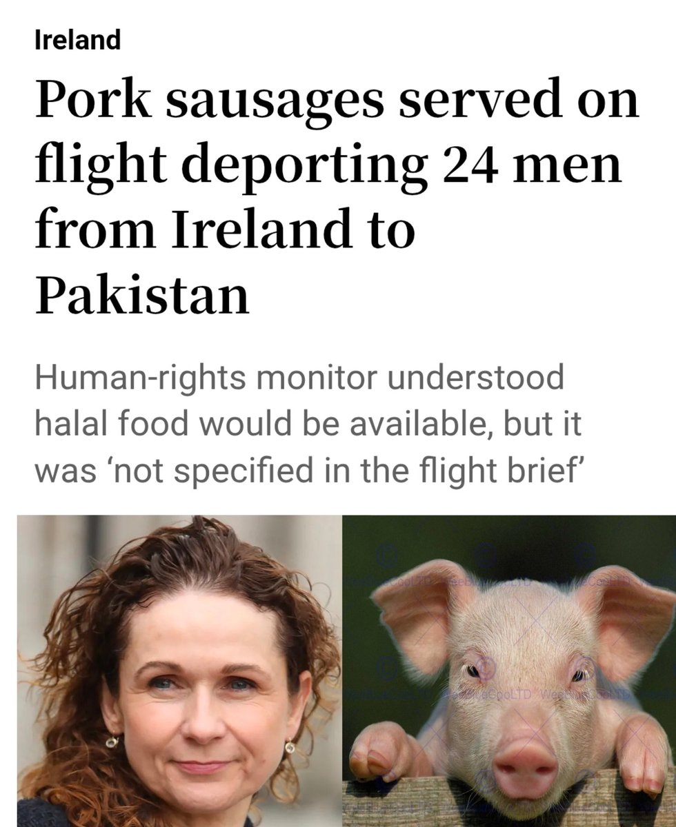 Susanne Delaney tweet media