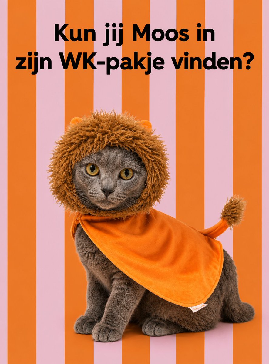 Marieke tweet media
