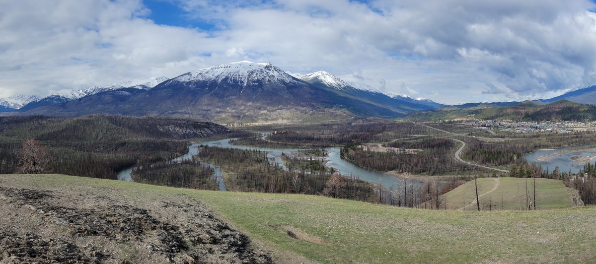 StarrySummitCDN's tweet photo. A good ramble yesterday checking on the forest regrowth around Old Fort Point.  Spring sun and showers are making for verdant grass and shrubs across the park!
#MyJasper https://t.co/W4PGUnMY38