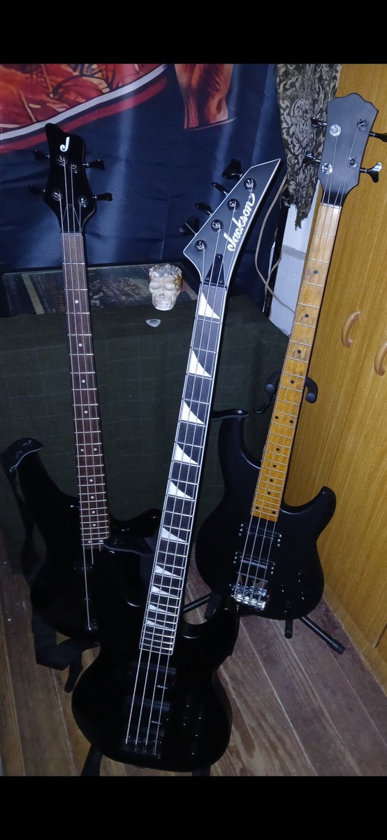 Ericksacro's tweet photo. Hermosos mis niños! #atodometal #basist #metalbass #uruguay https://t.co/t3Waxj5mpQ