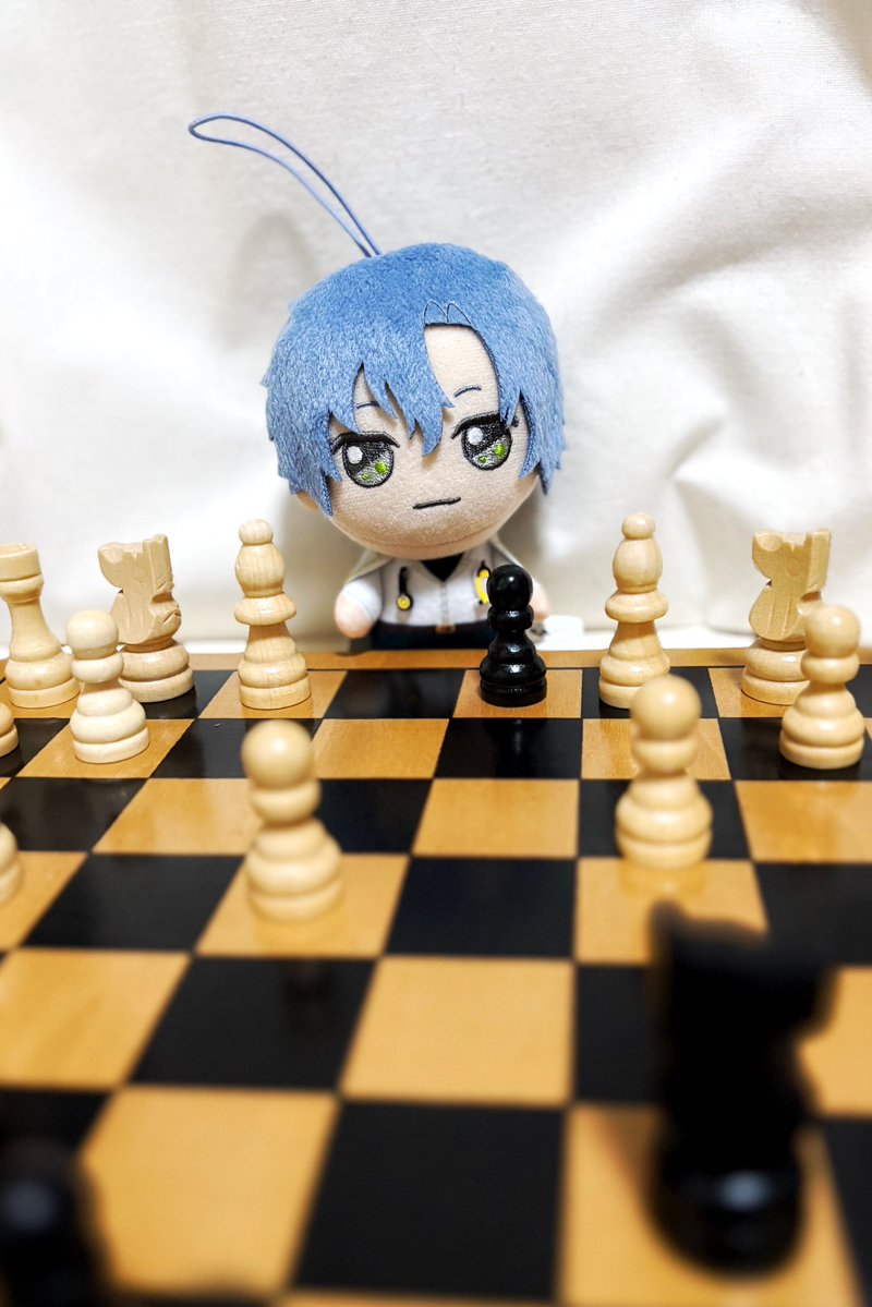 ぬいぬい tweet media