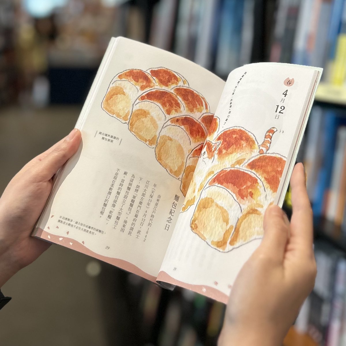 Kinocbth's tweet photo. 貓貓的春夏秋冬，今天是什喵日？
หนังสือที่รวบรวมภาพประกอบอันอบอุ่นหัวใจ ผ่านน้องแมวเหมียวสุดน่ารัก โดยผสมผสานกับเรื่องราววัฒนธรรมของประเทศญี่ปุ่นในมุมมองที่พิเศษ และน่าหลงใหล 🐈🍓🐈‍⬛🍧🐱

ฉบับภาษาจีนตัวเต็ม จำหน่ายที่คิโนะคูนิยะสาขาสยามพารากอนครับ
(ISBN 9789864597376/Price 674 THB) https://t.co/CzpXnBvYgY