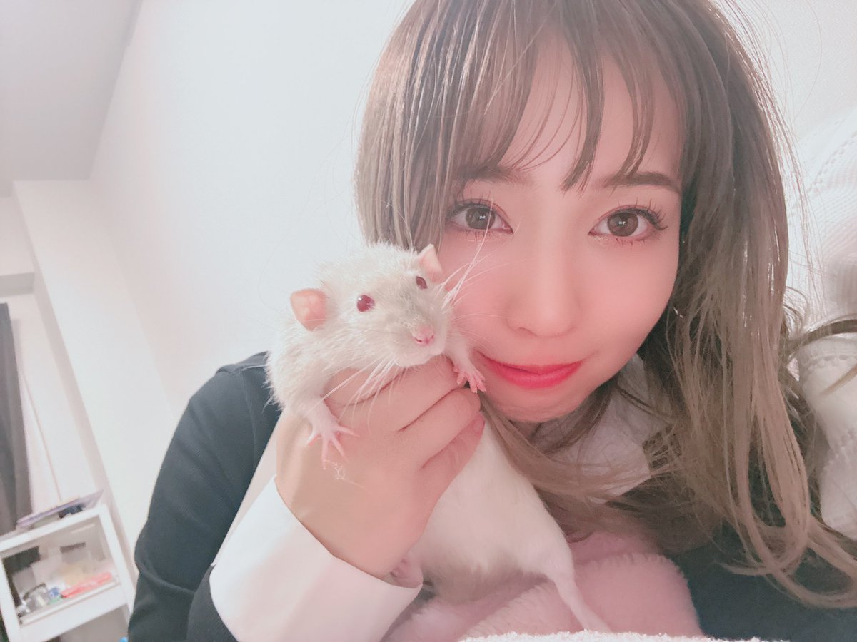 おくさおり♡公認心理師ナース🏍交通安全×心の専門家 tweet media