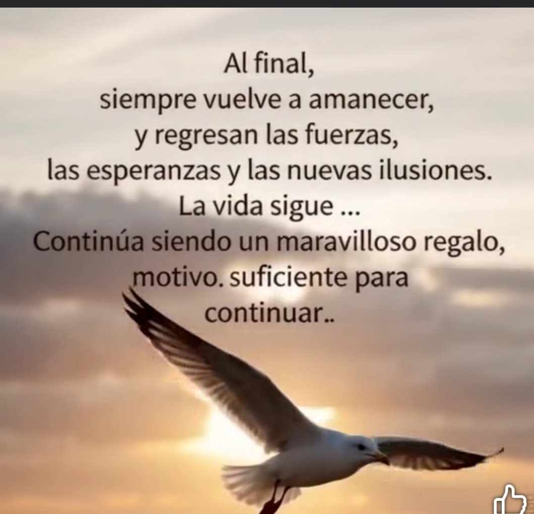 Irma Ibarra tweet media