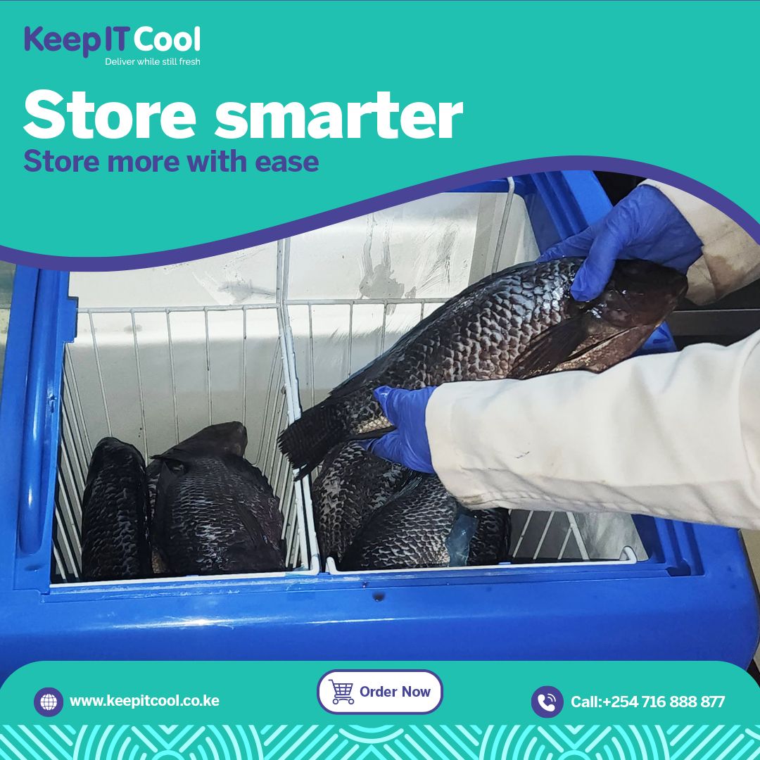 keepitcoolapp's tweet photo. Freeze the freshness, stock smarter, and never run out. ❄️
Our quality freezers keep your products fresh, organized, and ready for business or home use.

Get yours today and enjoy reliable cooling at the best value!
📞 Call 0716 888877 https://t.co/RKUMwdSH47