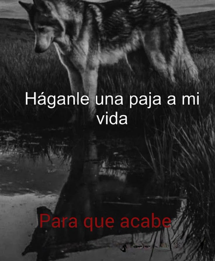 triste y con ganas de morirme ☹︎ tweet media
