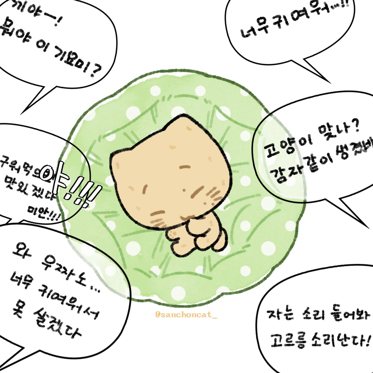 촌감냥🥔 tweet media