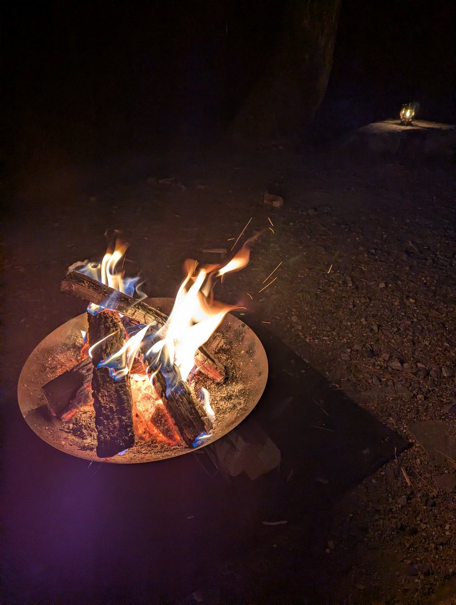 any_aster's tweet photo. 昼は暑いけど夜はそこそこ冷えていい感じです https://t.co/xIbiB9c3AI
