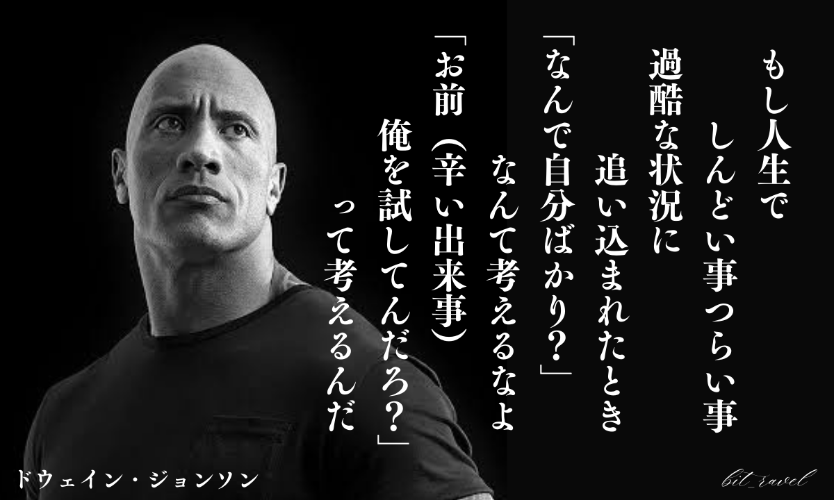 びっとらべる tweet media