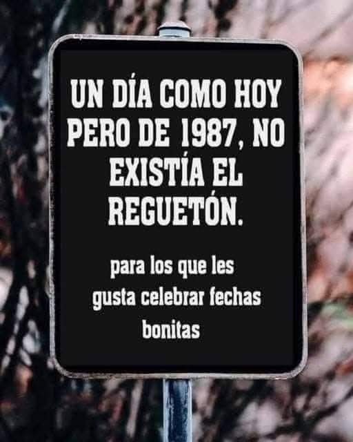 Flordehigopico🌸🌵 tweet media