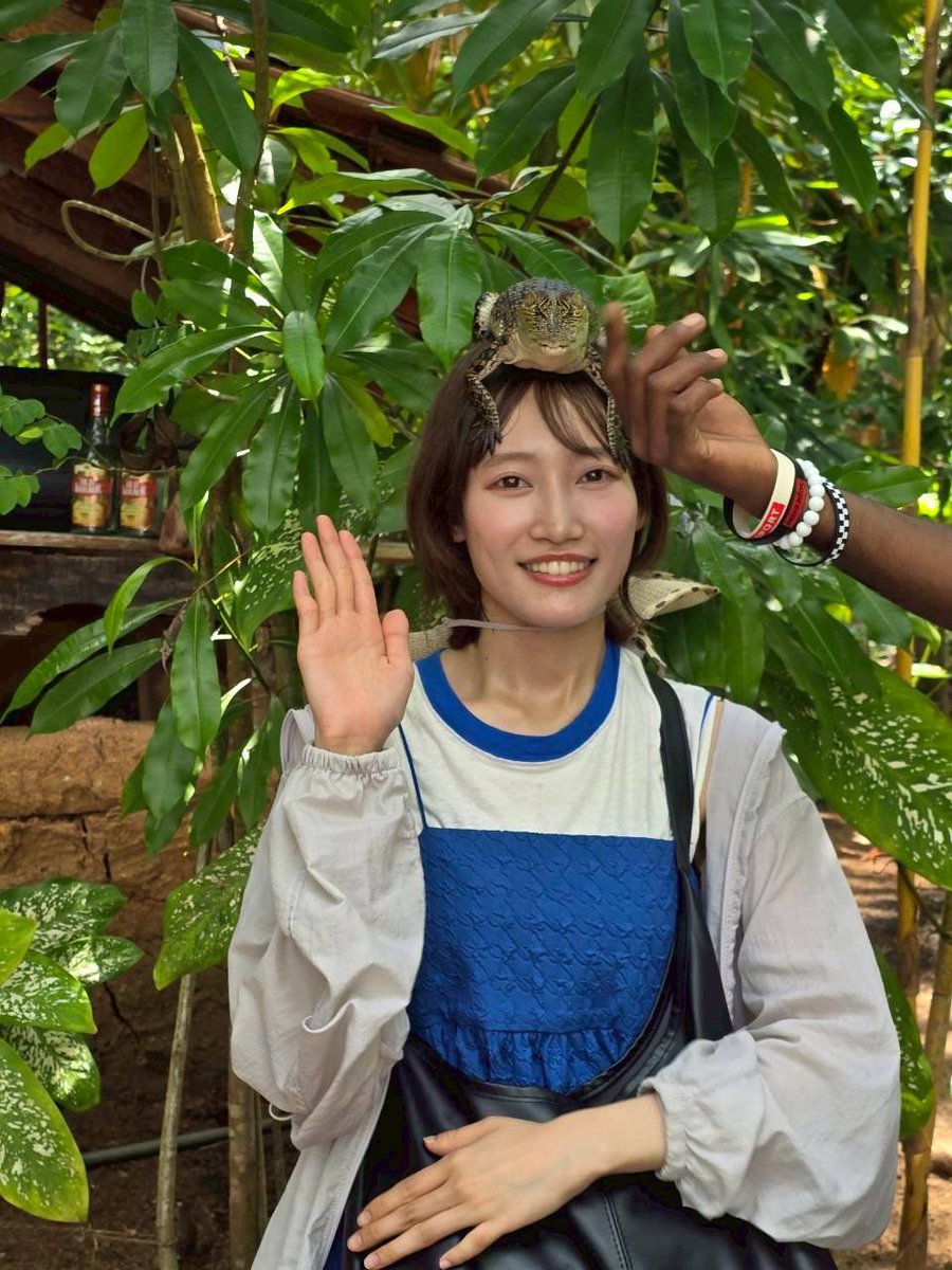 黒須遥香 Haruka Kurosu (AKB48) tweet media