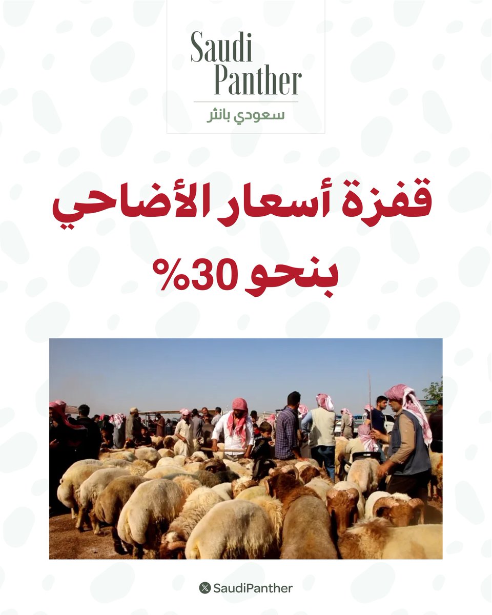 saudi panther | سعودي بانثر tweet media