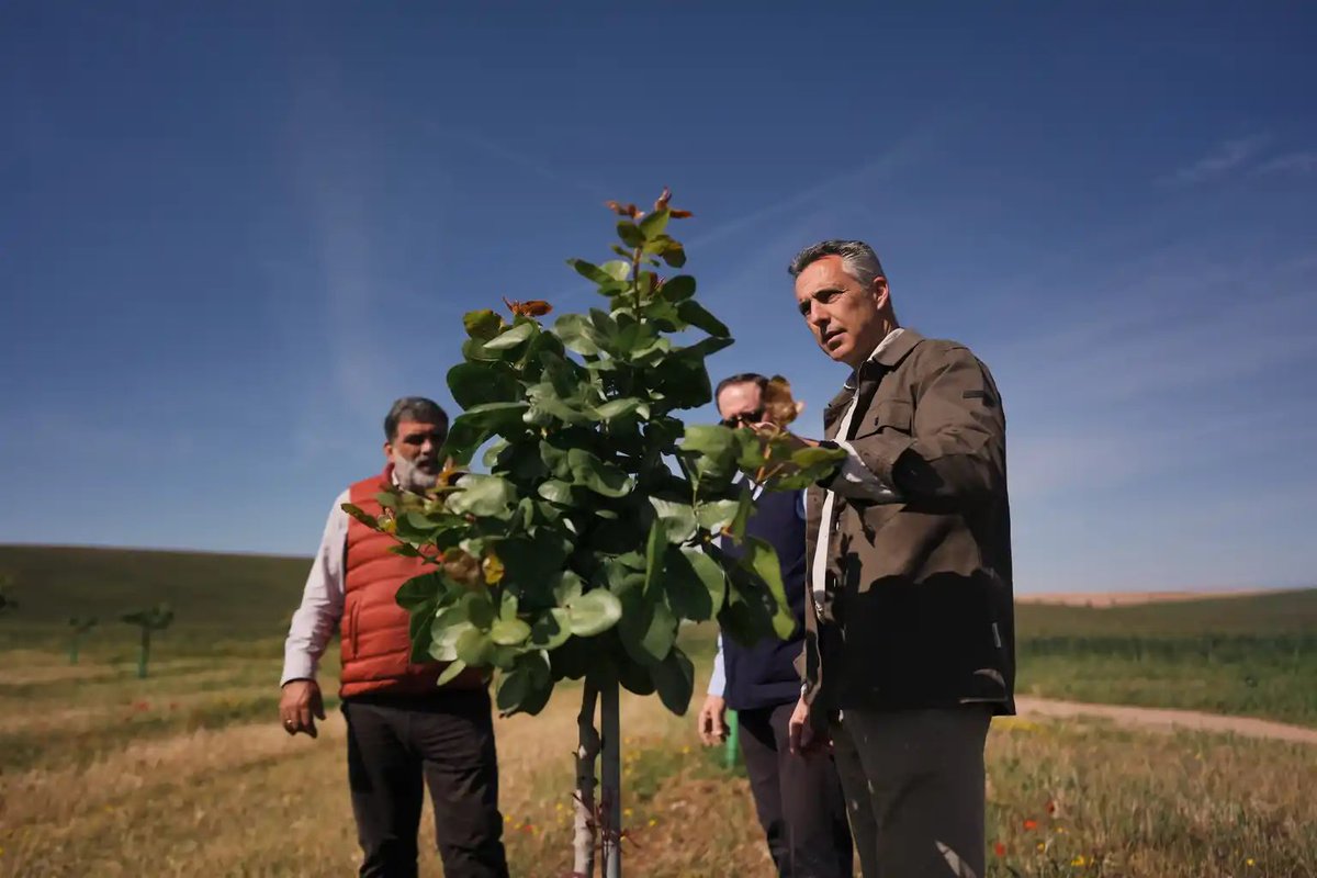 Medio Ambiente | Comunidad de Madrid tweet media
