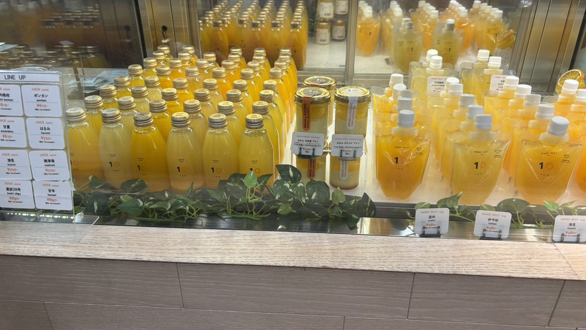 miharu121271733's tweet photo. #10FACTORY
#道後温泉
みなんの家系図を見ながら、飲んだり食べた事がない🍊がまだ沢山ある事を知りました👀ひとつひとつはけっこうお値段がするので、飲み比べセットは注文しやすく、ジェラートと合わせて道後温泉に来たら、まず立ち寄って欲しいくらいお勧めです✨ https://t.co/veYmJjfsa0