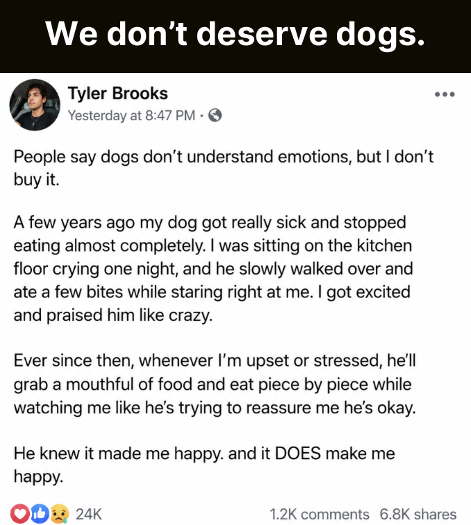 MensHumor's tweet photo. https://t.co/INsWE5ZT1I