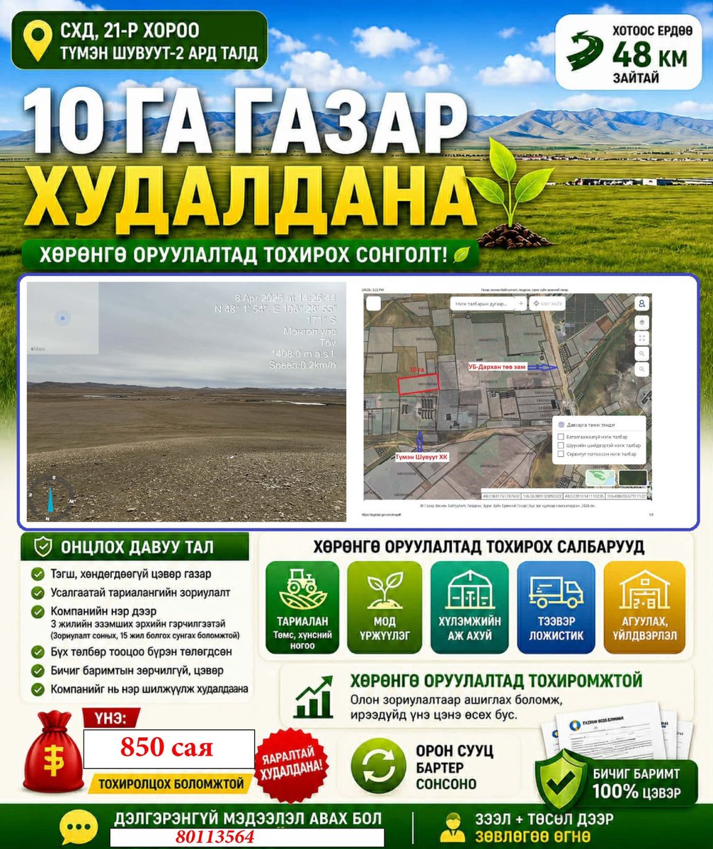 Tseka tweet media