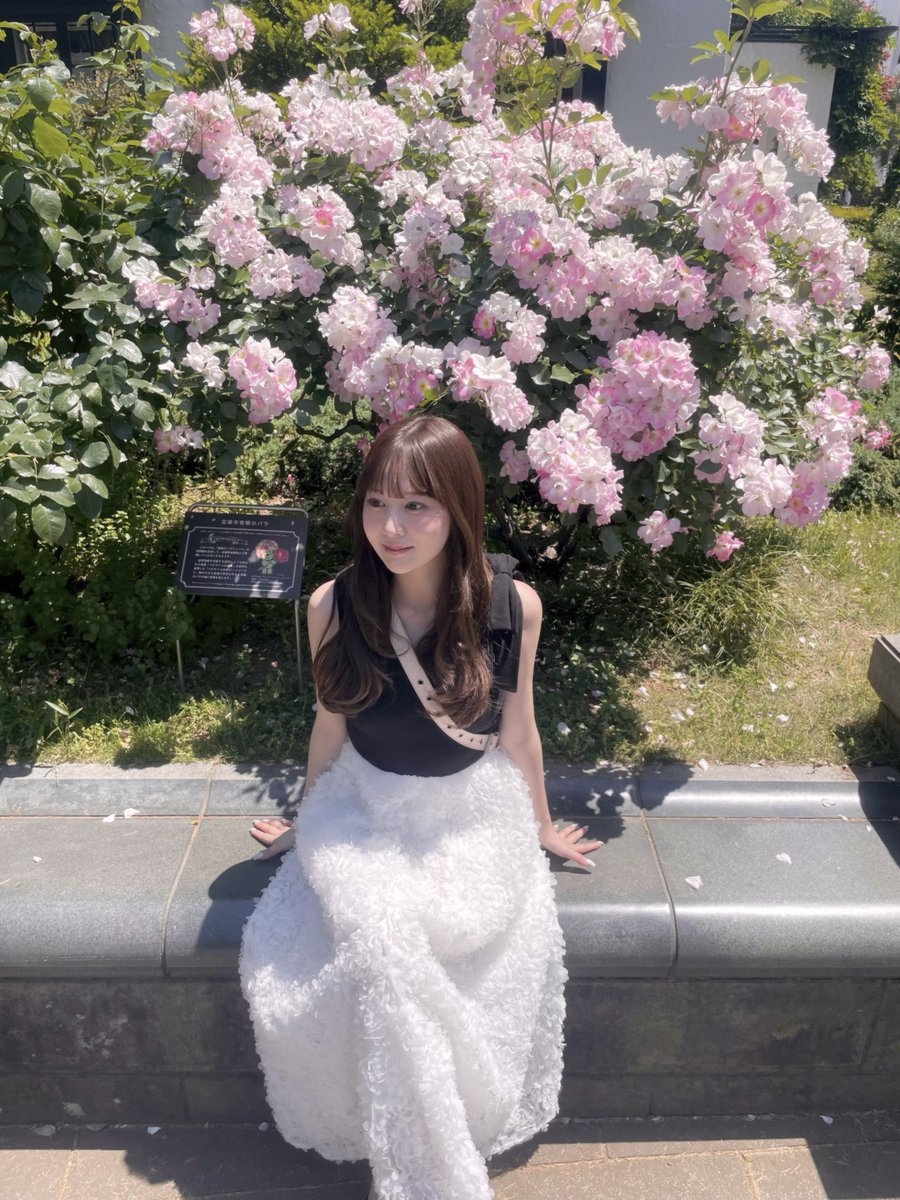 nami___grm's tweet photo. 港の見える丘公園のロー���ガーデン🌹
白あんが乗ったソフトクリームもバニラとローズのミックス🍦🤍 https://t.co/mLy0Lbm49Q