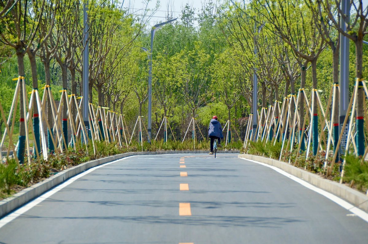 modacitylife's tweet photo. Cities around the world are rethinking mobility, and Beijing is becoming an increasingly compelling part of that discussion.

One of the best ways to follow such developments is @Cycling_Embassy's newsletter—which shares insights, highlights and reporting: https://t.co/dqYecSo59D https://t.co/UKgkI7Ewai