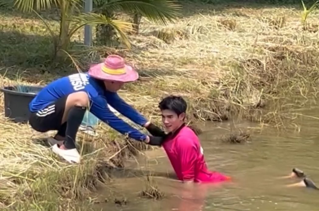 จู้ว tweet media