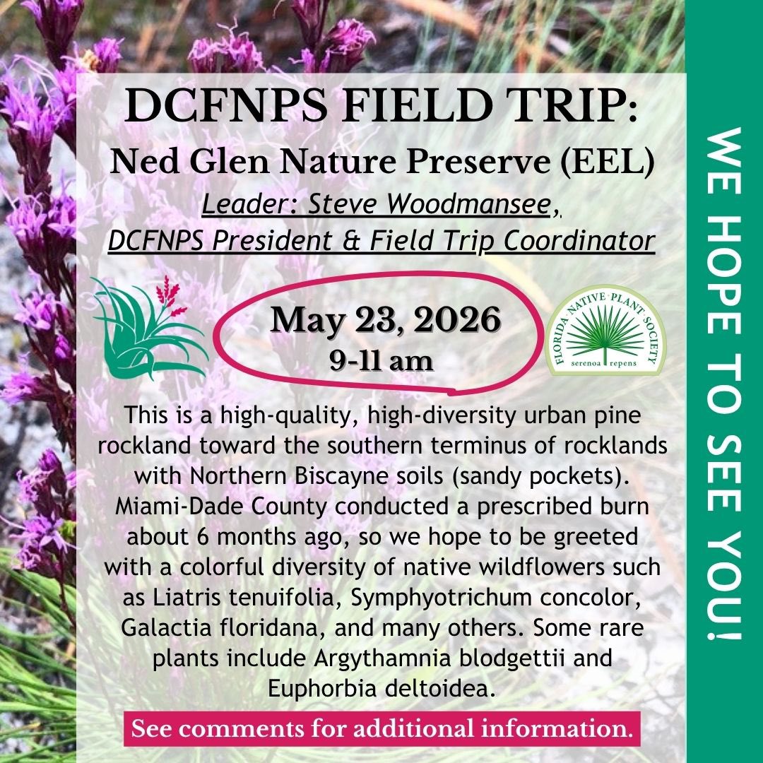 DadeFNPS's tweet photo. FIELD TRIP: NED GLEN NATURE PRESERVE 🌿🌼🌳 https://t.co/B2WDTFcYB0 https://t.co/Eit5fwQoaT