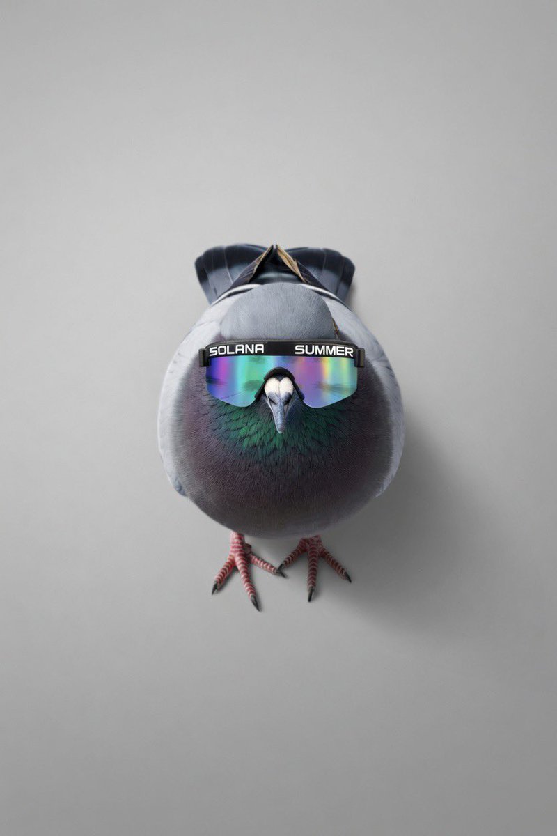 C OG tweet media