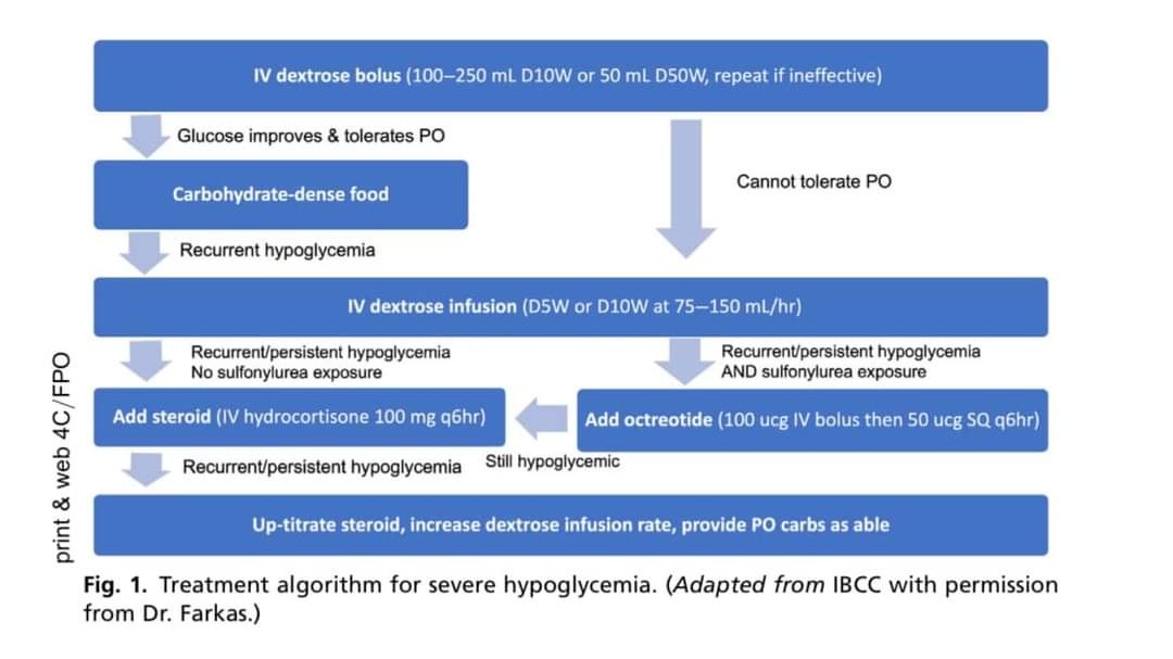 JimmyJuanc's tweet photo. Algoritmo de tratamiento para hipoglicemia severa

#medicina #endocrinologia #neurologia https://t.co/Lvd1OgX0EV