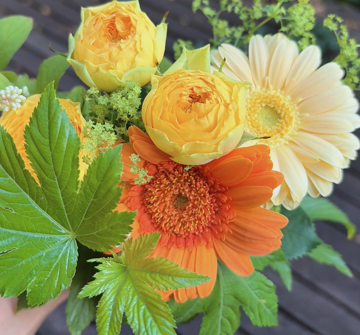 mi71807383's tweet photo. 綺麗なお花をありがとうございました🌸

来週からはもう稽古がないと思うと少し寂しいような https://t.co/wdQwVuQCPq
