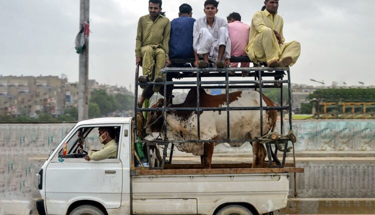 PakWheels.com tweet media