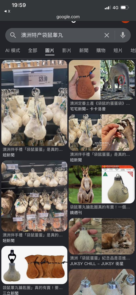 迅鴿🕊️ tweet media