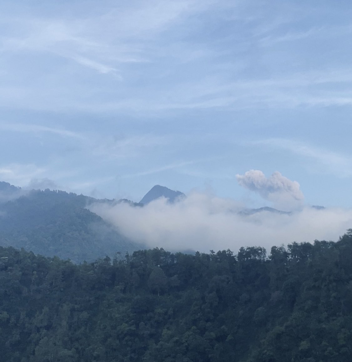 adit surowidjojo tweet media