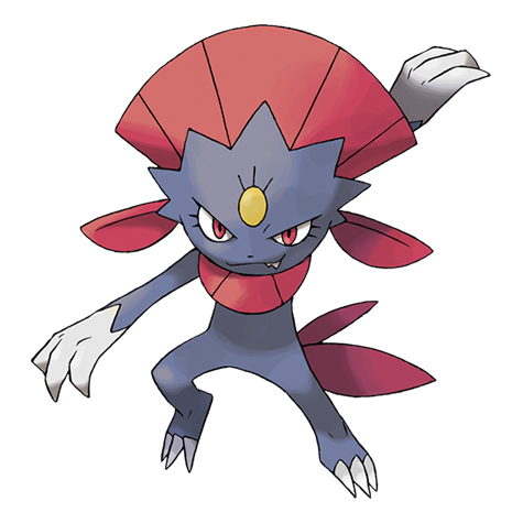 Todo dia um pokémon 🇧🇷 tweet media