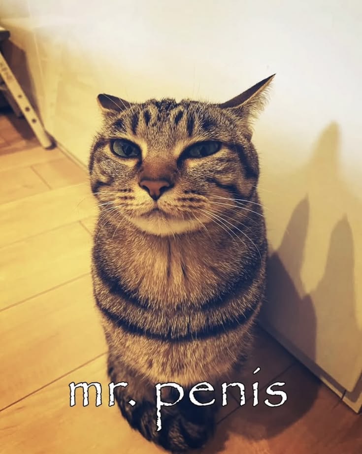 Yuusakis's tweet photo. @SineticApex ban him https://t.co/nyvpShxsHc