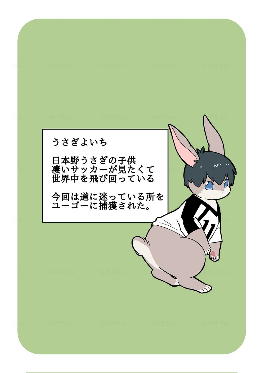 せきはん tweet media