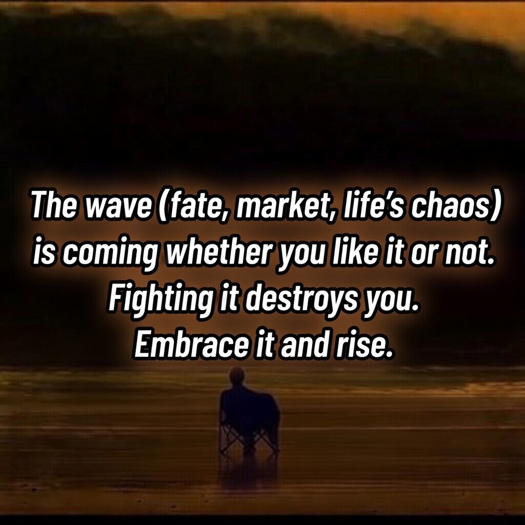 Embrace the Wave tweet media