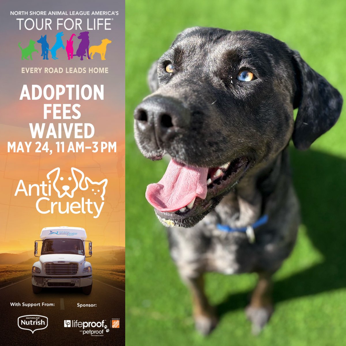 AntiCruelty's tweet photo. Big news: Tour for Life is rolling into Chicago on Sunday, May 24.

For one day only, adoption fees will be waived for all animals at our Downtown Chicago Adoption Center.

Sunday, May 24  
11 a.m. – 3 p.m.  
510 N. LaSalle Dr.

Visit https://t.co/1eE6un24pH to learn more. https://t.co/47QtMG1nxj