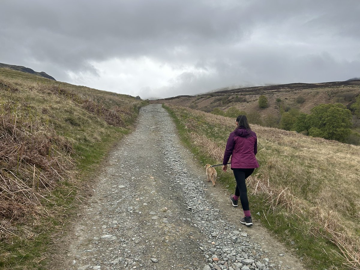 GPDai's tweet photo. Very early start to climb Ben Chonzie with daughter 3 and Hazel. Cloud from 720m but a pair of Peregrines and plenty Red Grouse. Thanks to Matt for introducing Sour Patch Kids to the hill food repertoire and Premier in Comrie with an amazing flavoured milk selection https://t.co/dfqVBDuLMi
