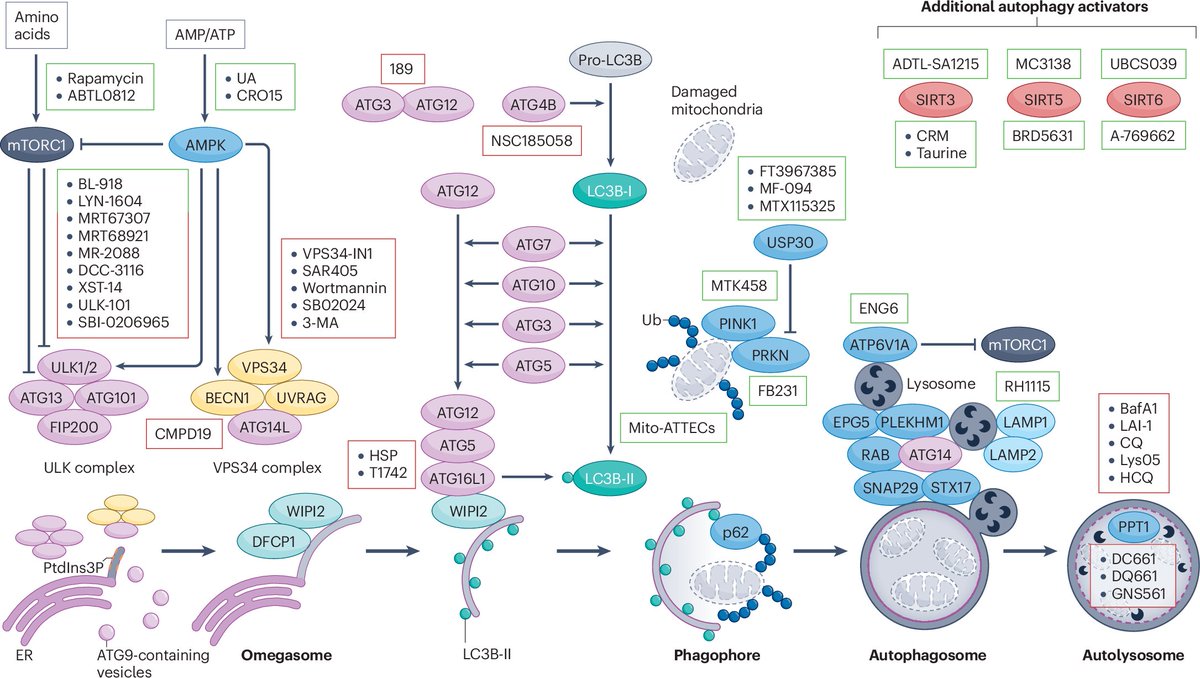 Nature Reviews Drug Discovery tweet media