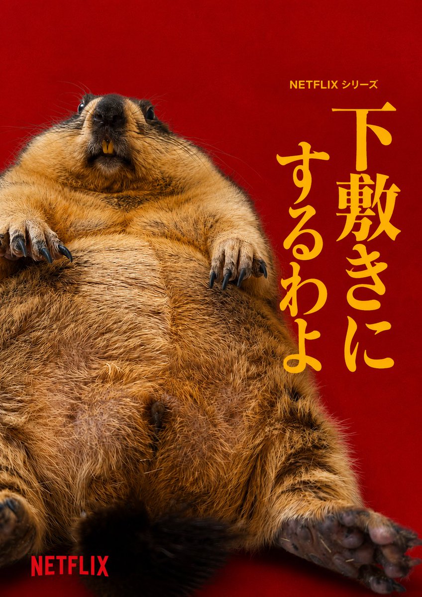 ドクターマーモット tweet media
