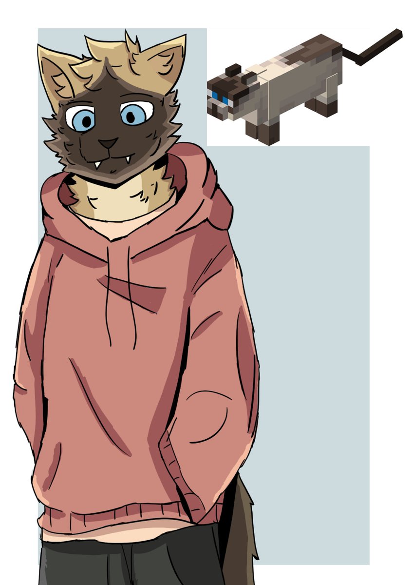 thecatidk's tweet photo. Minecraft siamese cat #minecraft #minecraftcat #furry #furryartwork https://t.co/5Velp97S7j