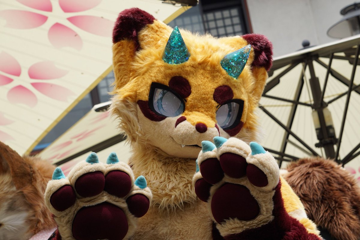 calikemo's tweet photo. Some fantastic portrait shots of some of our lovely kemonos! Tysm @Kiminukii!!

#kemono #furry https://t.co/PlR2vqj1NY