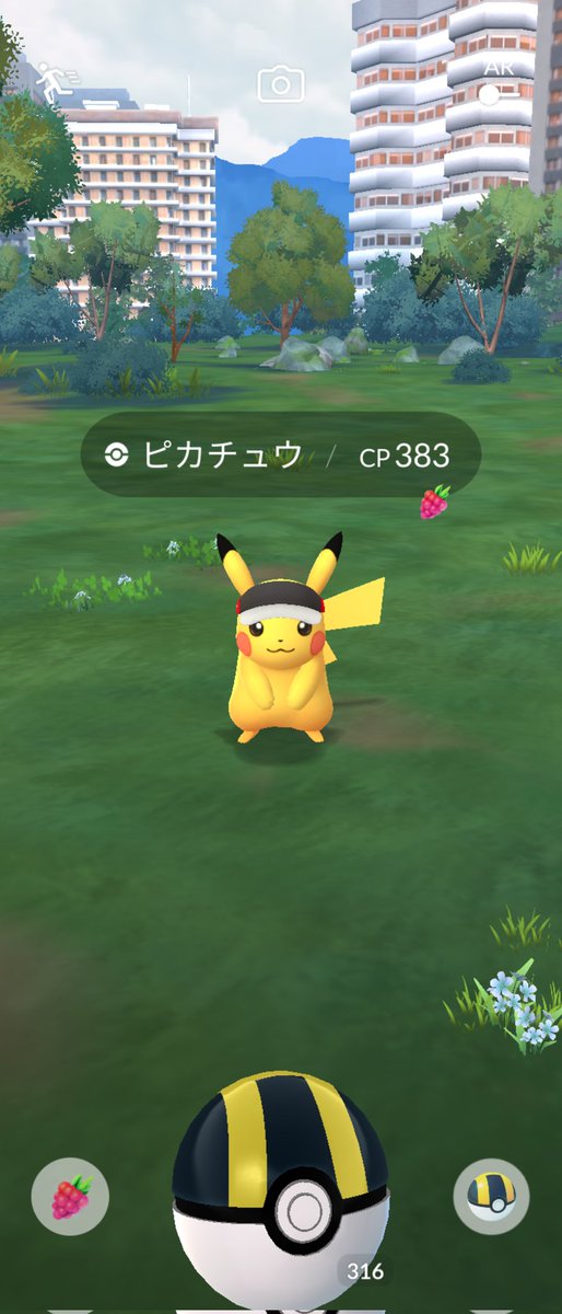 pok12km's tweet photo. 頑張って42キロピカGET。慌てて先に木の実あげてスクショ。 https://t.co/UK3loWHfV7