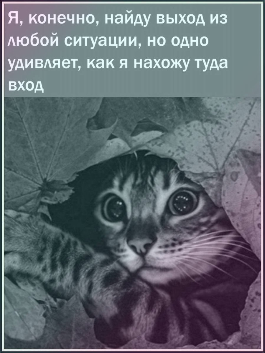 Tatiana tweet media