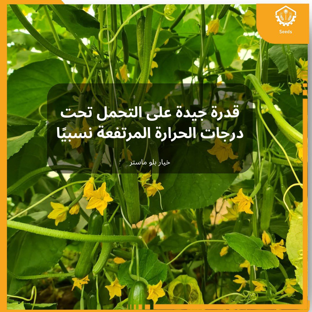 AMMC Agriculture - شركة الآلات والمواد الزراعية tweet media