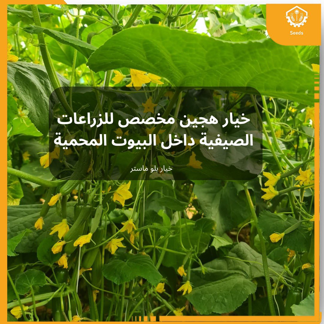 AMMC Agriculture - شركة الآلات والمواد الزراعية tweet media