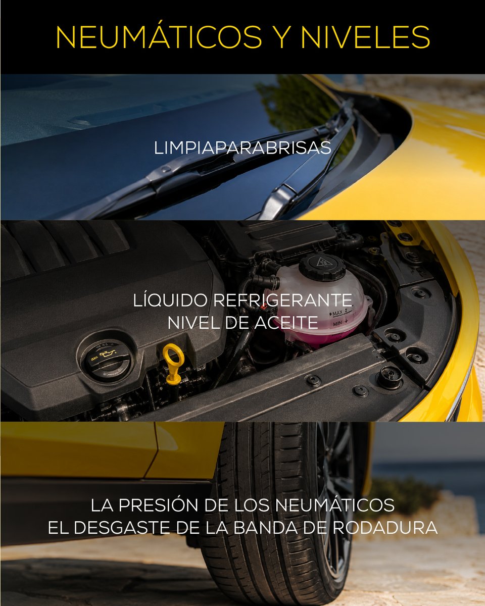 midas_es's tweet photo. Pasa LA Revisión Oficial Midas 🛠️

Una revisión a tiempo puede evitar averías, retrasos y gastos inesperados durante tus vacaciones.

Prepárate para viajar con tranquilidad y disfruta del verano desde el primer kilómetro ☀️

Pide ya tu cita en https://t.co/orjxncdI41 https://t.co/hpycPfqifh