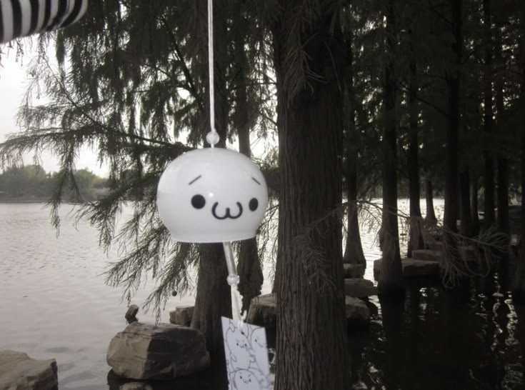 liz tweet media