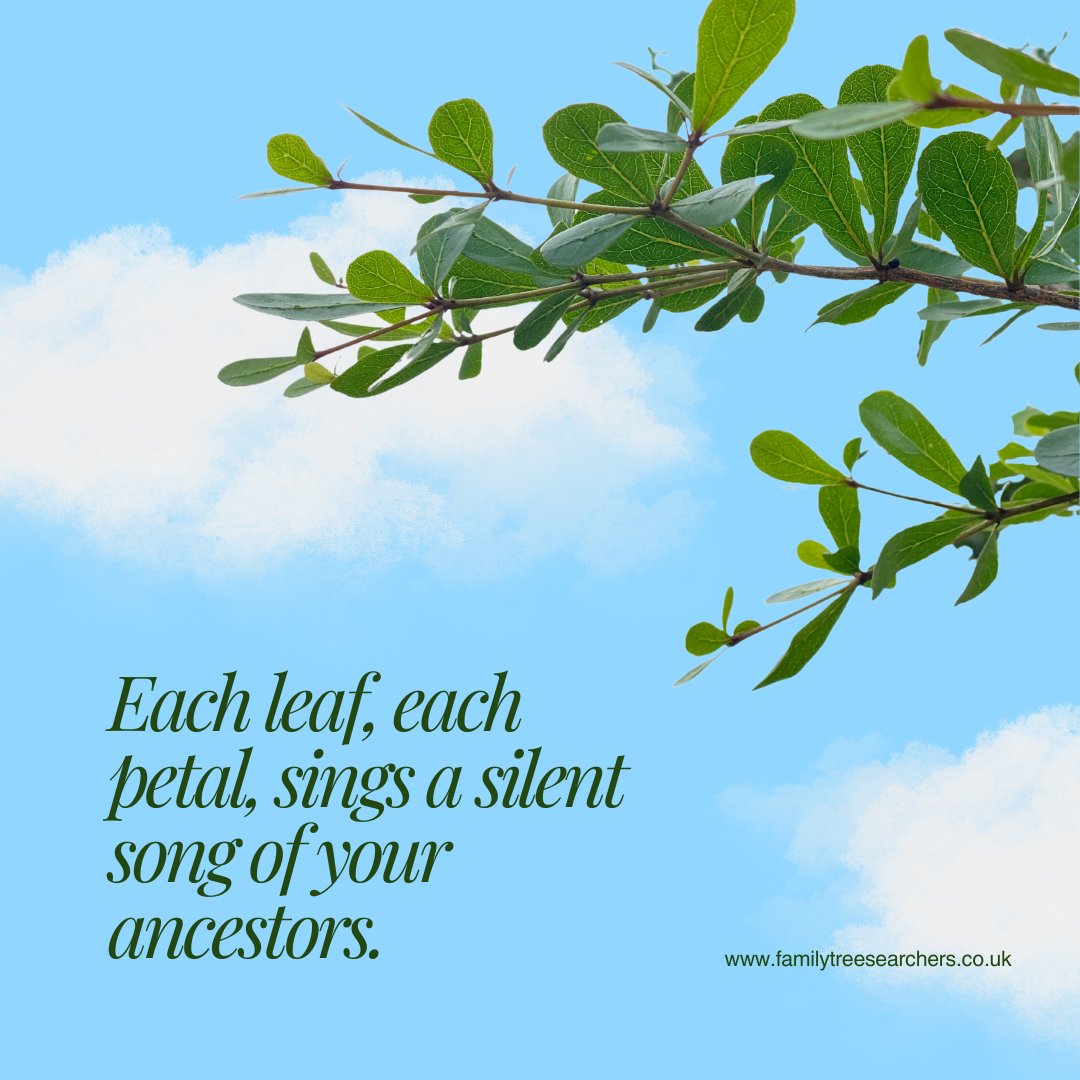 Family Tree Searchers tweet media