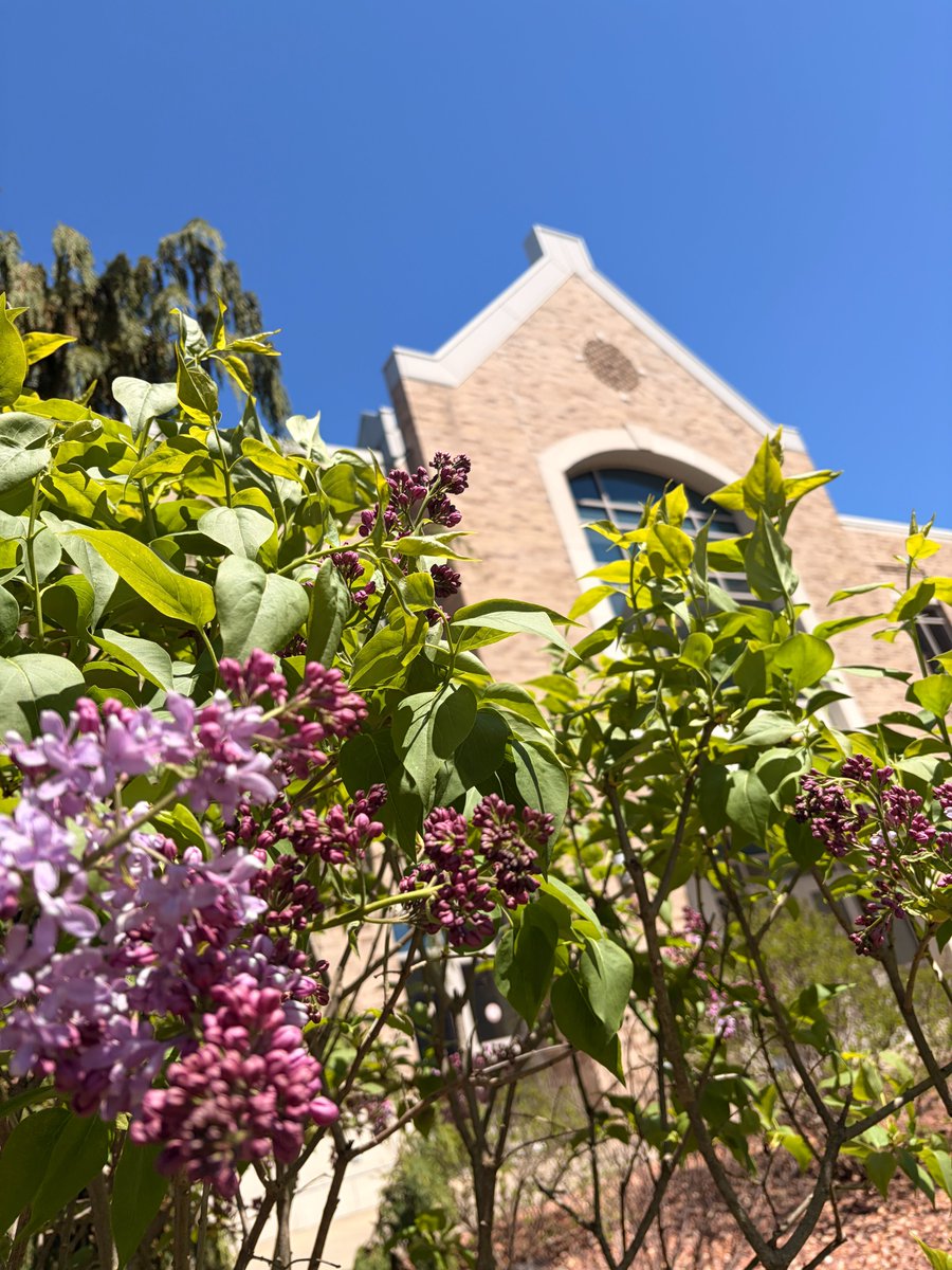 FisherNews's tweet photo. Summertime might just be the perfect time to look into Fisher's graduate offerings! Check out our full list of upcoming Information Sessions for each of our programs: https://t.co/dc7xWy2uMy https://t.co/C87AdqbHA0