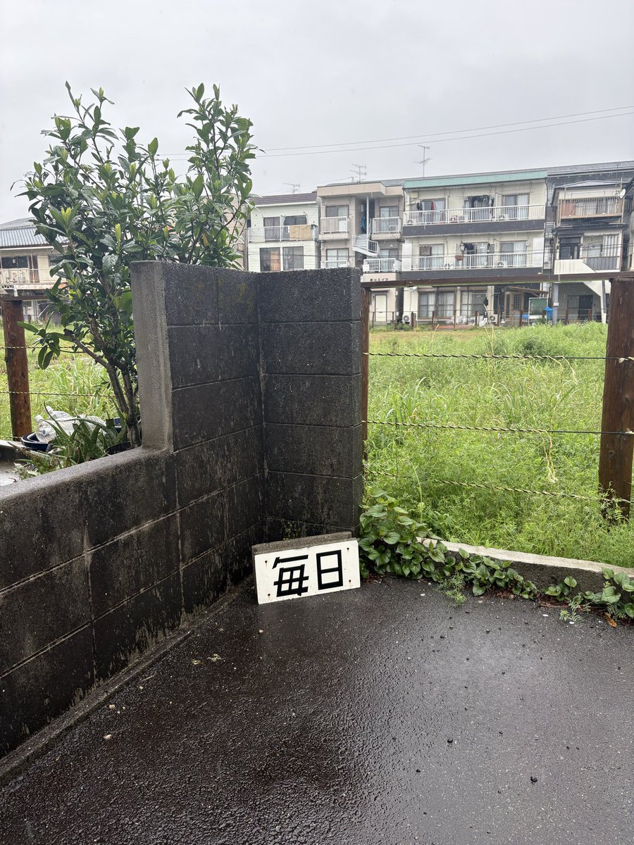 ocha_house's tweet photo. 謎の“毎日” https://t.co/qgbw6ZDq0K